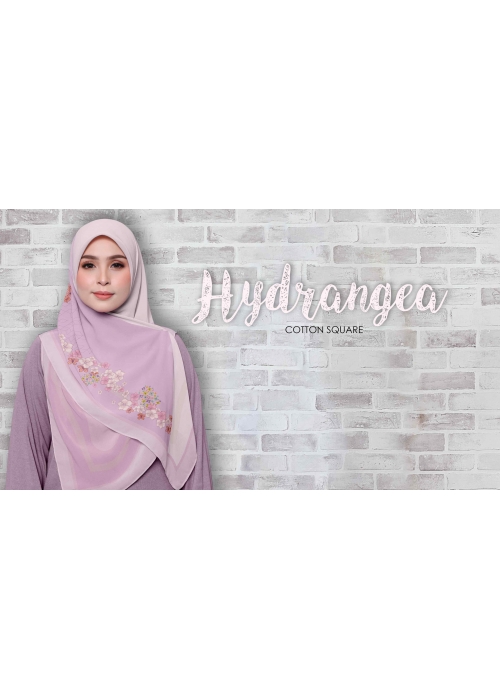 Hydrangea 